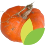 Logo of Au Potager android Application 